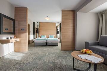 Фото номера Люкс с 1 спальней и балконом Отель Devin Spa Hotel г. Девин 6